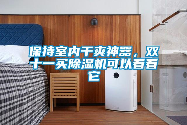 保持室內(nèi)干爽神器，雙十一買(mǎi)除濕機(jī)可以看看它