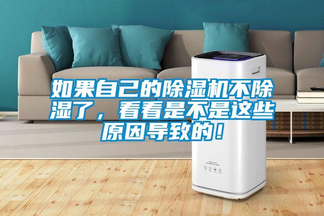 如果自己的除濕機不除濕了，看看是不是這些原因?qū)е碌模?></div>
								<div   id=