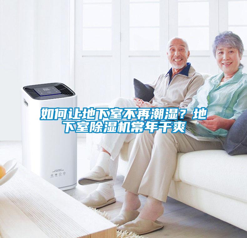 如何讓地下室不再潮濕？地下室除濕機常年干爽