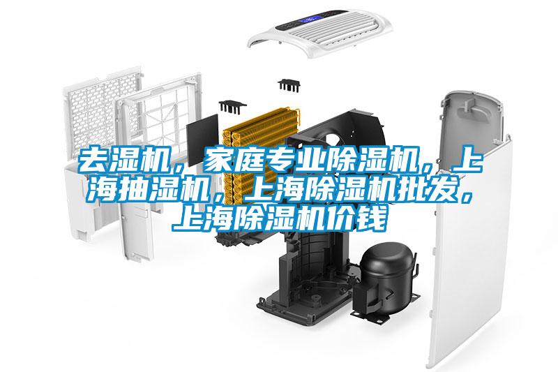 去濕機(jī)，家庭專業(yè)除濕機(jī)，上海抽濕機(jī)，上海除濕機(jī)批發(fā)，上海除濕機(jī)價(jià)錢