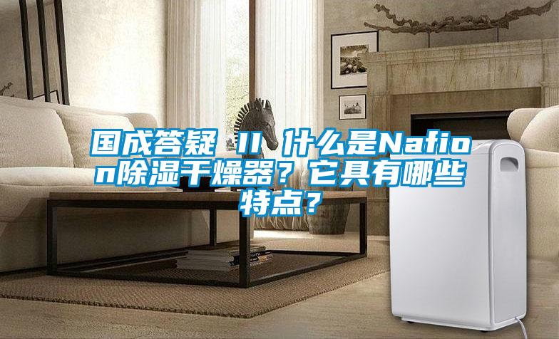 國(guó)成答疑 II 什么是Nafion除濕干燥器？它具有哪些特點(diǎn)？