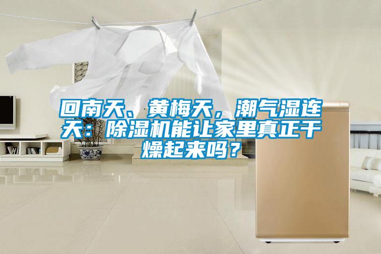 回南天、黃梅天，潮氣濕連天：除濕機(jī)能讓家里真正干燥起來(lái)嗎？