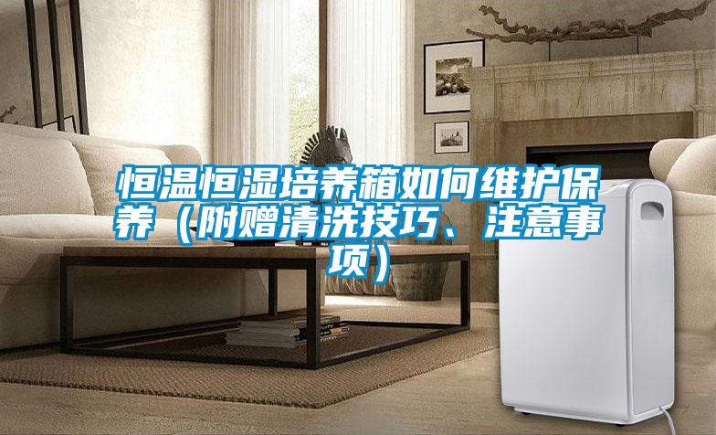 恒溫恒濕培養(yǎng)箱如何維護(hù)保養(yǎng)（附贈(zèng)清洗技巧、注意事項(xiàng)）