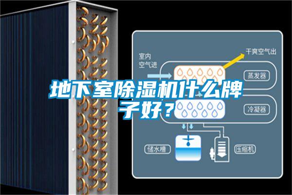 地下室除濕機(jī)什么牌子好？
