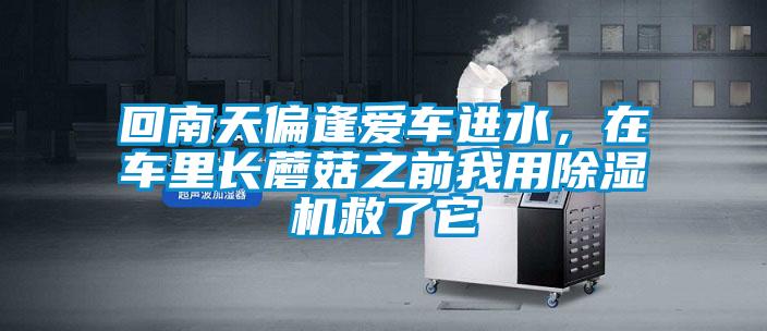 回南天偏逢愛(ài)車進(jìn)水，在車?yán)镩L(zhǎng)蘑菇之前我用除濕機(jī)救了它