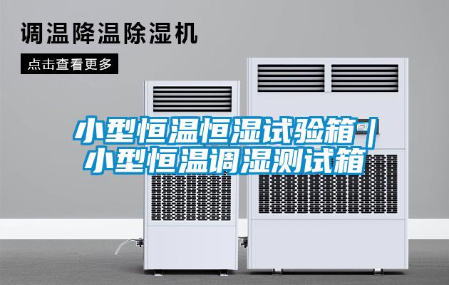 小型恒溫恒濕試驗(yàn)箱｜小型恒溫調(diào)濕測試箱