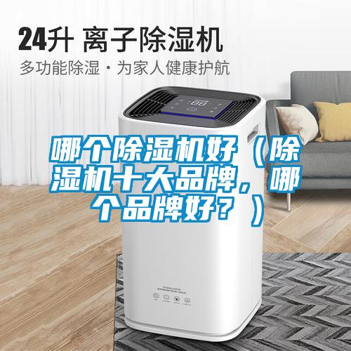 哪個(gè)除濕機(jī)好（除濕機(jī)十大品牌，哪個(gè)品牌好？）