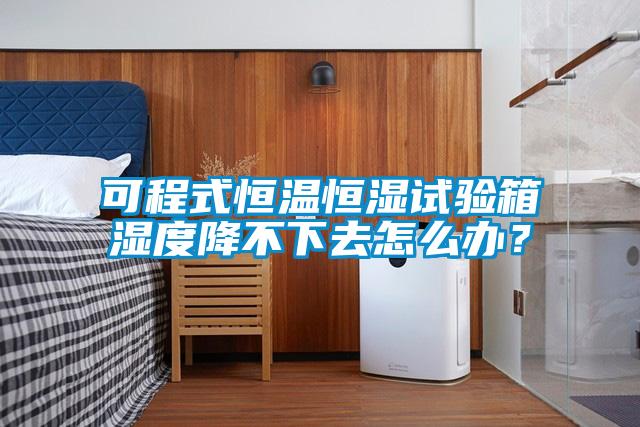 可程式恒溫恒濕試驗箱濕度降不下去怎么辦？