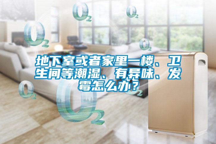 地下室或者家里一樓、衛(wèi)生間等潮濕、有異味、發(fā)霉怎么辦？
