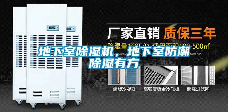 地下室除濕機(jī)，地下室防潮除濕有方