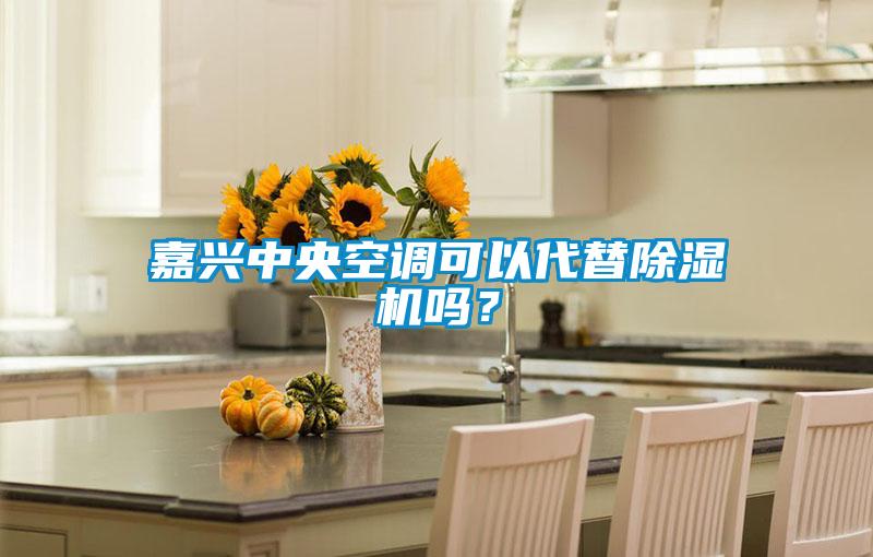 嘉興中央空調(diào)可以代替除濕機嗎？