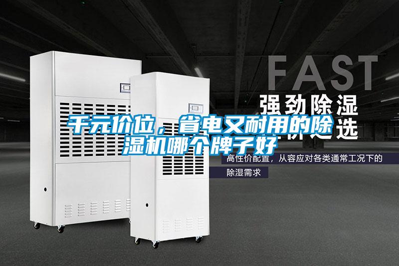 千元價(jià)位，省電又耐用的除濕機(jī)哪個(gè)牌子好
