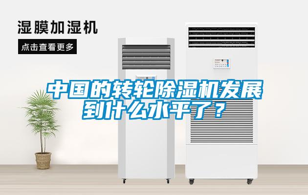 中國的轉(zhuǎn)輪除濕機發(fā)展到什么水平了？