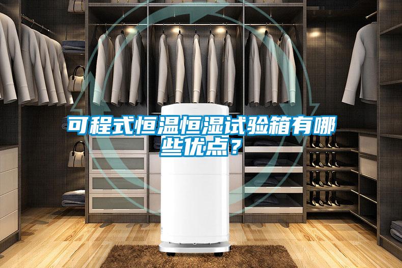 可程式恒溫恒濕試驗箱有哪些優(yōu)點？