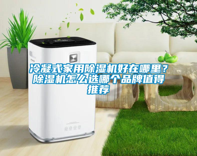 冷凝式家用除濕機(jī)好在哪里？除濕機(jī)怎么選哪個(gè)品牌值得推薦