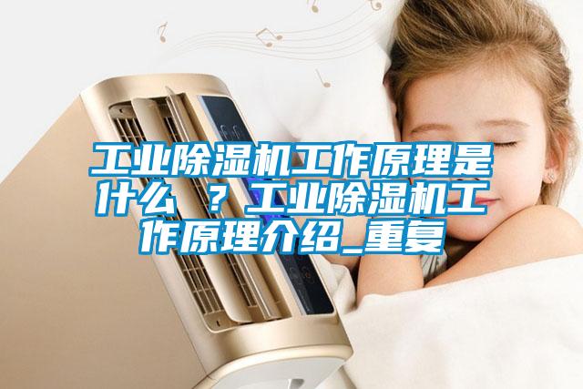 工業(yè)除濕機(jī)工作原理是什么 ？工業(yè)除濕機(jī)工作原理介紹_重復(fù)