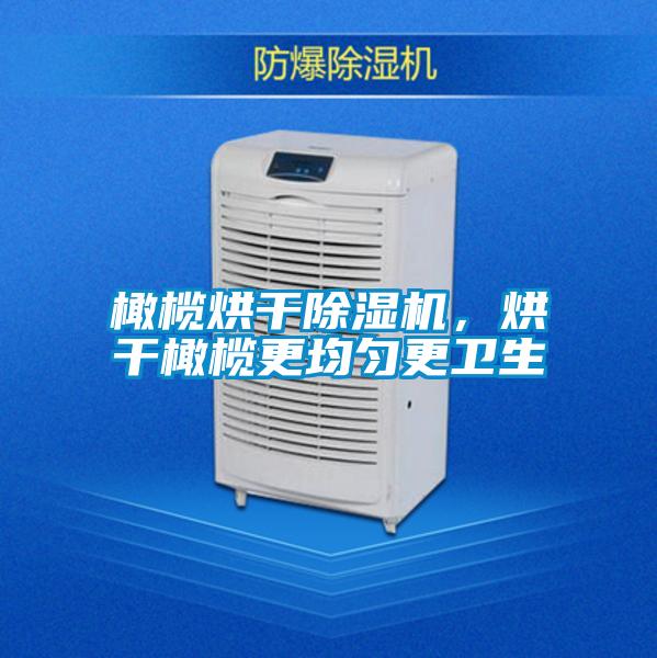 橄欖烘干除濕機，烘干橄欖更均勻更衛(wèi)生