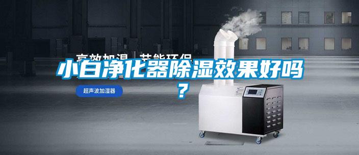 小白凈化器除濕效果好嗎？