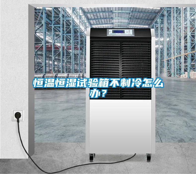恒溫恒濕試驗(yàn)箱不制冷怎么辦？