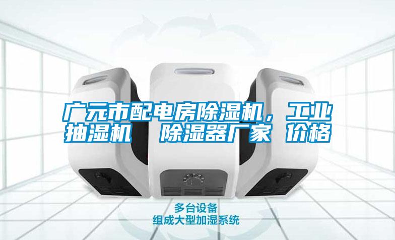 廣元市配電房除濕機，工業(yè)抽濕機  除濕器廠家 價格