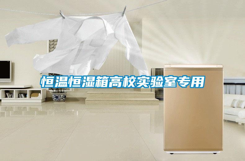 恒溫恒濕箱高校實(shí)驗(yàn)室專(zhuān)用