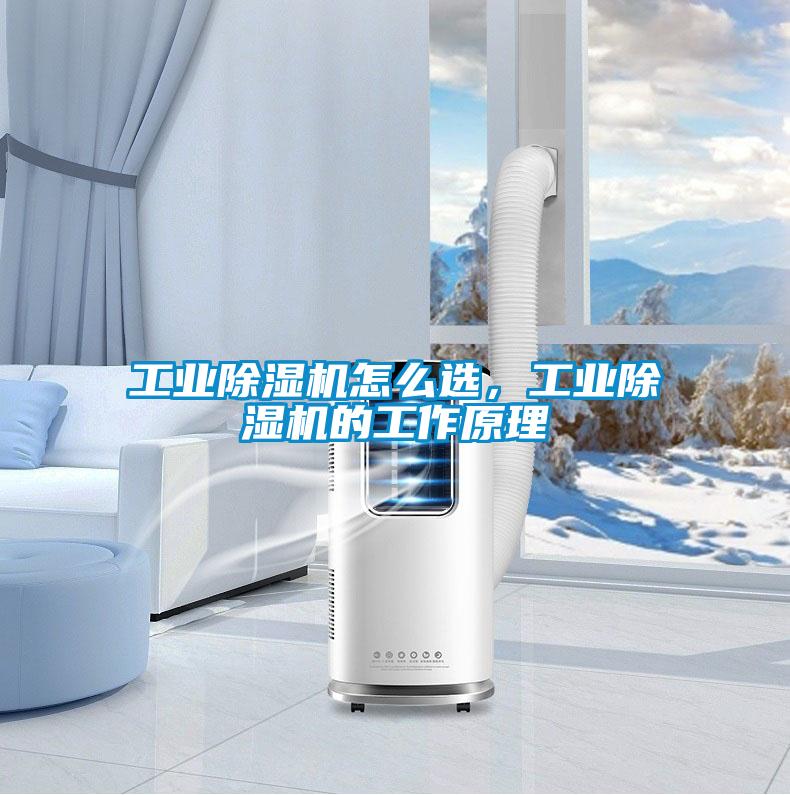 工業(yè)除濕機怎么選，工業(yè)除濕機的工作原理