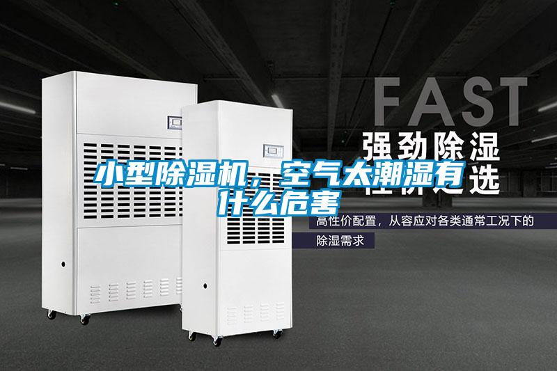 小型除濕機(jī)，空氣太潮濕有什么危害