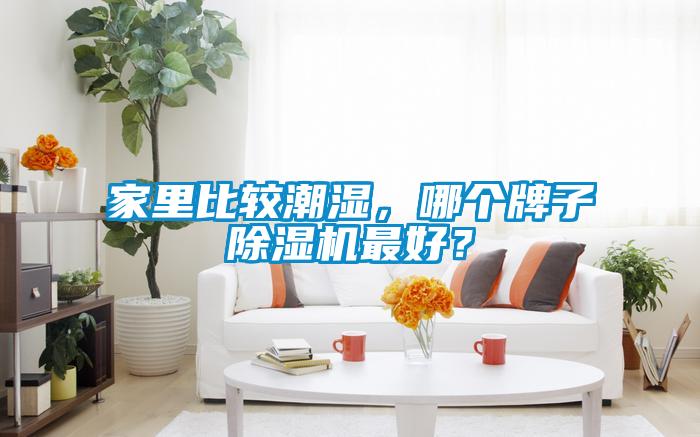 家里比較潮濕，哪個牌子除濕機最好？