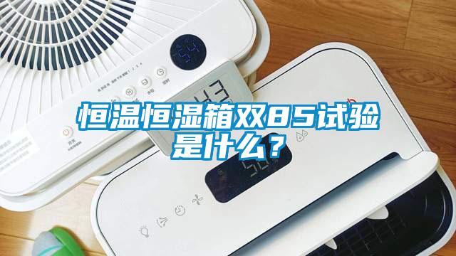 恒溫恒濕箱雙85試驗是什么？