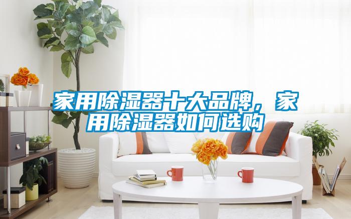 家用除濕器十大品牌，家用除濕器如何選購