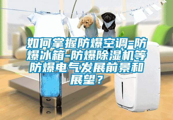 如何掌握防爆空調(diào)-防爆冰箱-防爆除濕機(jī)等防爆電氣發(fā)展前景和展望？
