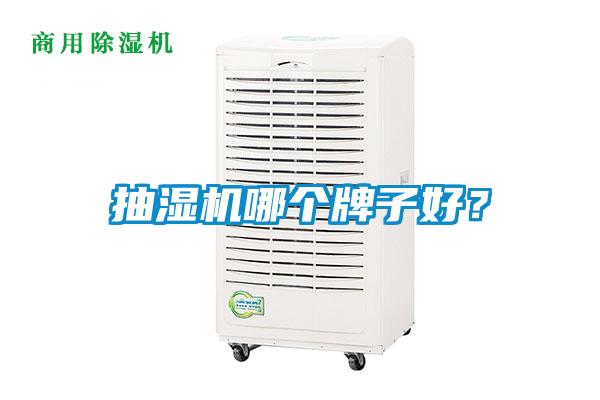 抽濕機(jī)哪個(gè)牌子好？