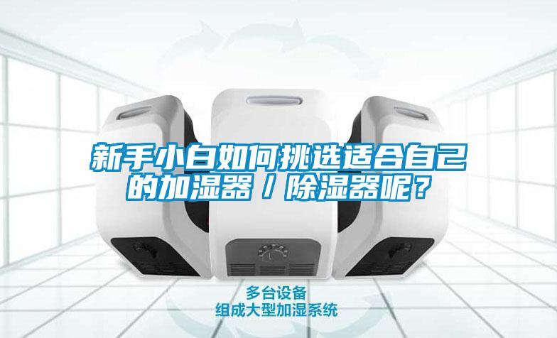 新手小白如何挑選適合自己的加濕器／除濕器呢？