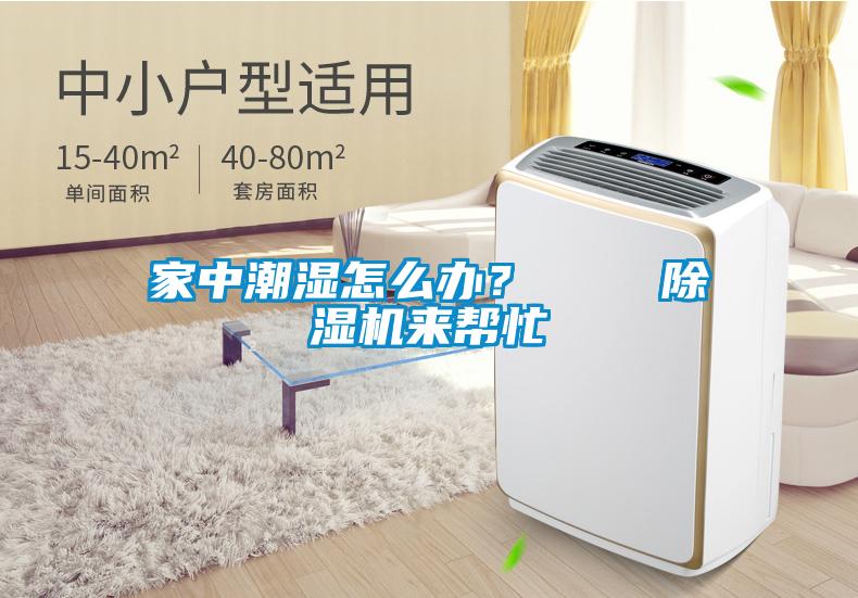 家中潮濕怎么辦？    除濕機(jī)來(lái)幫忙