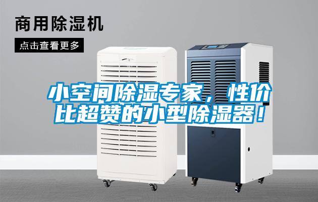 小空間除濕專家，性價比超贊的小型除濕器！
