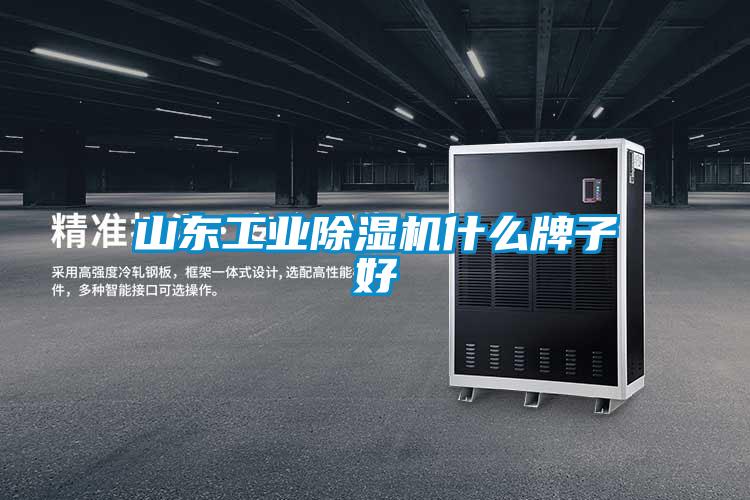 山東工業(yè)除濕機什么牌子好