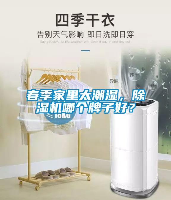 春季家里太潮濕，除濕機(jī)哪個(gè)牌子好？