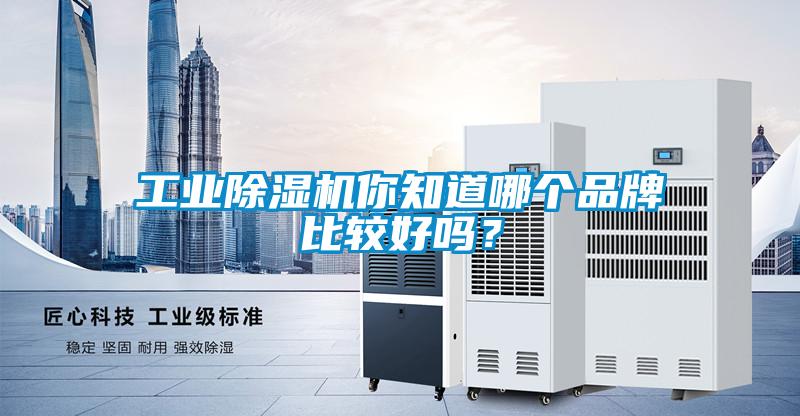 工業(yè)除濕機(jī)你知道哪個(gè)品牌比較好嗎？