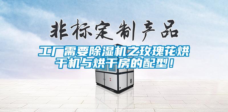 工廠需要除濕機之玫瑰花烘干機與烘干房的配型！