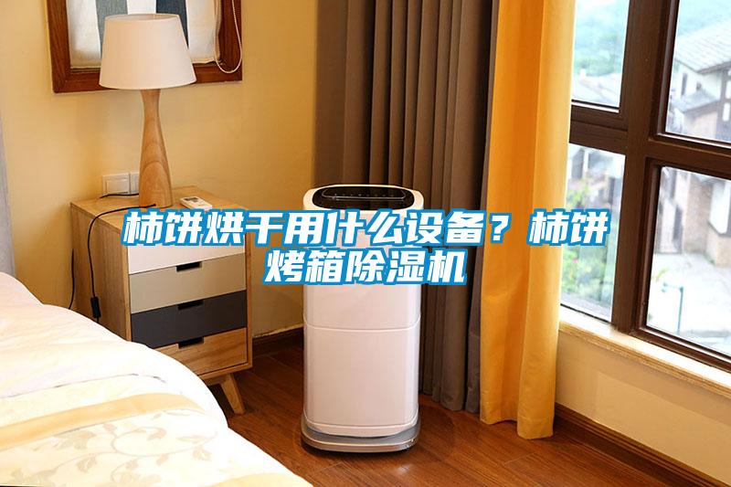 柿餅烘干用什么設(shè)備？柿餅烤箱除濕機(jī)