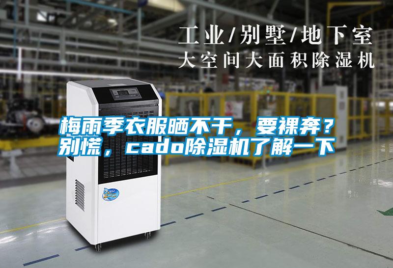 梅雨季衣服曬不干，要裸奔？別慌，cado除濕機了解一下