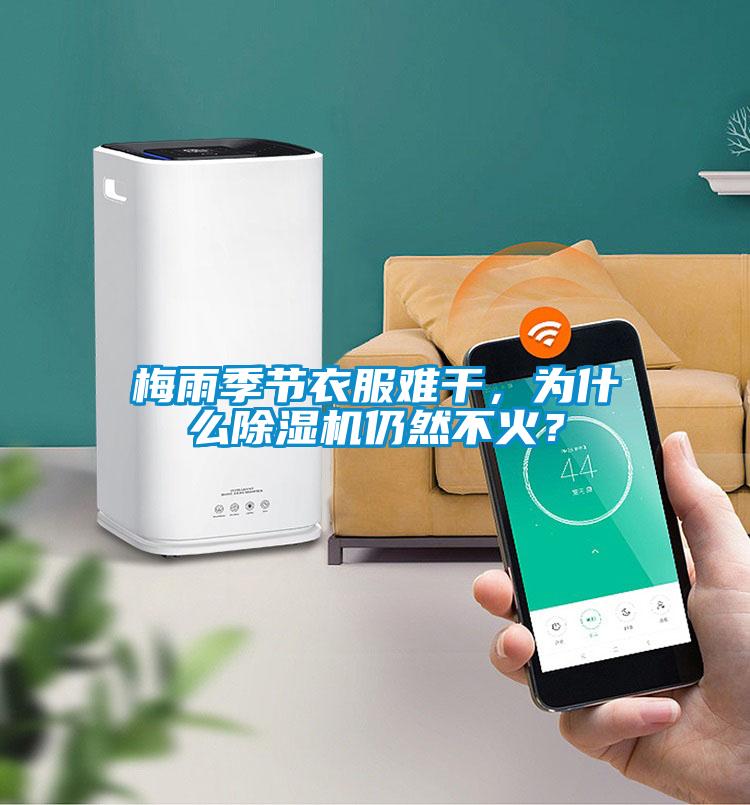 梅雨季節(jié)衣服難干，為什么除濕機仍然不火？