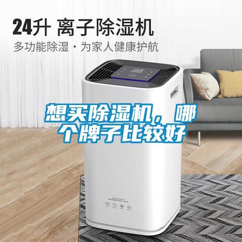 想買(mǎi)除濕機(jī)，哪個(gè)牌子比較好