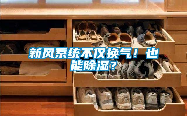 新風(fēng)系統(tǒng)不僅換氣！也能除濕？