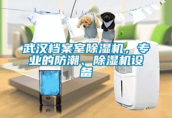 武漢檔案室除濕機，專業(yè)的防潮、除濕機設備