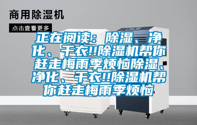 正在閱讀：除濕、凈化、干衣!!除濕機幫你趕走梅雨季煩惱除濕、凈化、干衣!!除濕機幫你趕走梅雨季煩惱