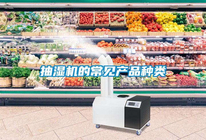 抽濕機(jī)的常見(jiàn)產(chǎn)品種類(lèi)