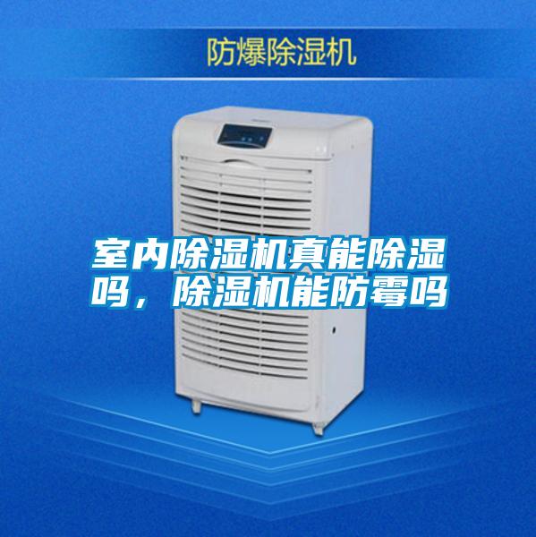 室內(nèi)除濕機(jī)真能除濕嗎，除濕機(jī)能防霉嗎