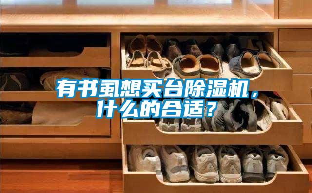 有書虱想買臺除濕機，什么的合適？