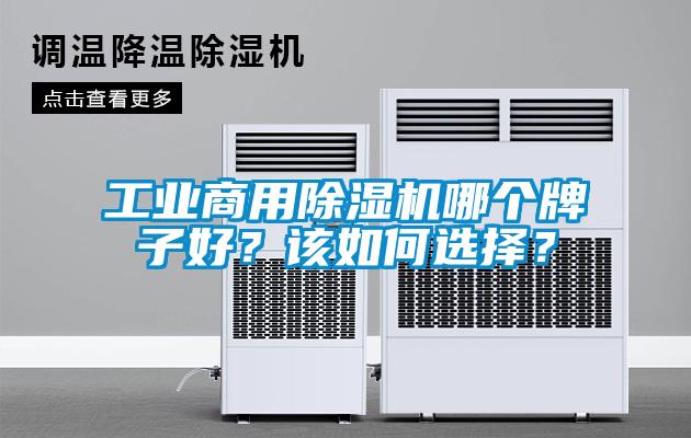 工業(yè)商用除濕機哪個牌子好？該如何選擇？